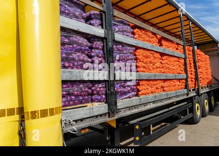 Kampagne Zwiebelernte 2022. Packungen sortierter Zwiebeln werden für den Versand vorbereitet. Posttharvest Handling von Gemüse und Wurzelfrüchten. Stockfoto