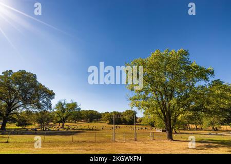 Stilwell, Oklahoma, USA – 29. September 2022: Der Oak Grove Cemetery, auch bekannt als Bigby Cemetery. Voller indianischer Nachkommen. Stockfoto