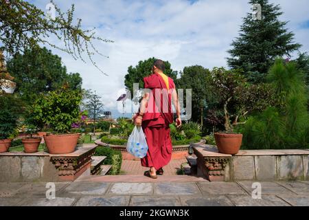 Ein Mönch, der Wasserflaschen im Hof des tibetischen buddhistischen Klosters Kopan trug. Kathmandu. Nepal. Stockfoto