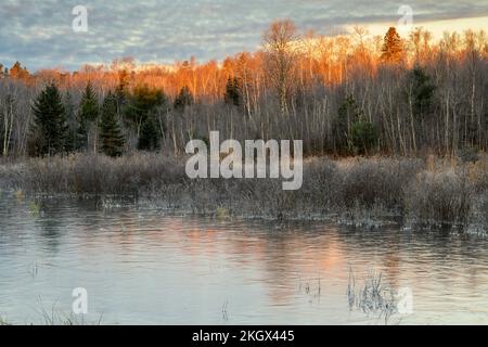 Gefrorener Biberteich bei Sonnenaufgang, Greater Sudbury, Ontario, Kanada Stockfoto