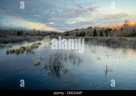 Gefrorener Biberteich bei Sonnenaufgang, Greater Sudbury, Ontario, Kanada Stockfoto