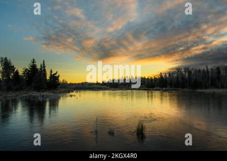 Gefrorener Biberteich bei Sonnenaufgang, Greater Sudbury, Ontario, Kanada Stockfoto