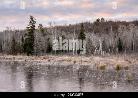 Gefrorener Biberteich bei Sonnenaufgang, Greater Sudbury, Ontario, Kanada Stockfoto