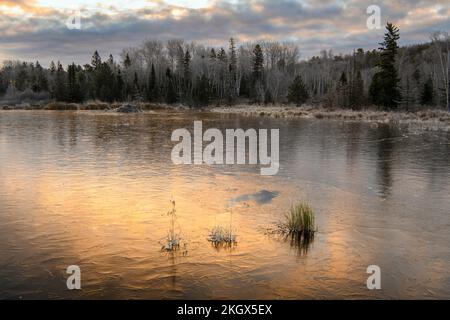 Gefrorener Biberteich bei Sonnenaufgang, Greater Sudbury, Ontario, Kanada Stockfoto