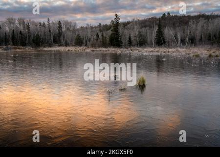 Gefrorener Biberteich bei Sonnenaufgang, Greater Sudbury, Ontario, Kanada Stockfoto