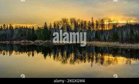 November Sonnenaufgang über einem Biberteich, Greater Sudbury, Ontario, Kanada Stockfoto