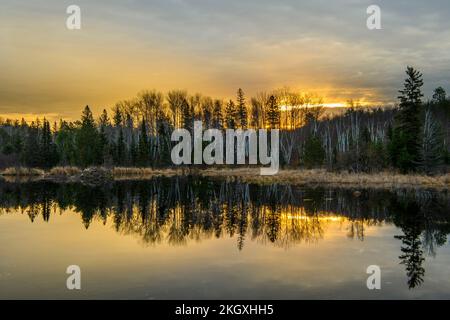 November Sonnenaufgang über einem Biberteich, Greater Sudbury, Ontario, Kanada Stockfoto