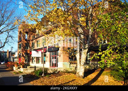 Skaneateles, New York, USA. 4. November 2022. Charmante Geschäfte und Boutiquen im Dorfzentrum von Skaneateles, New York, an einem Herbstmorgen Stockfoto