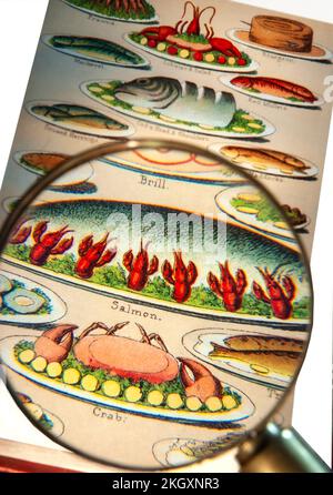 Mrs Beeton's Cookery Book, in dem verschiedene, luxuriöse viktorianische, feine, spezielle Bankettfischgerichte wie Krabben, Lachs mit Krebsen und Brill dargestellt werden. Vergrößerungsglas zur Vergrößerung des feinen Lithographiedruckes. Stockfoto