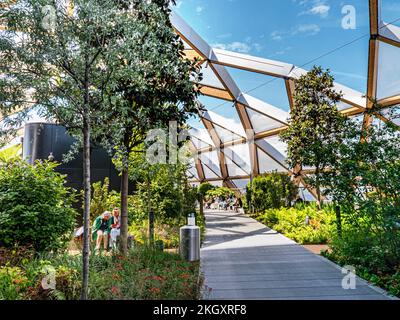 Canary Wharf tropischer Dachgarten eine Oase der Ruhe über dem Bahnhof, entworfen von Sir Norman Foster Canary Wharf London UK Stockfoto