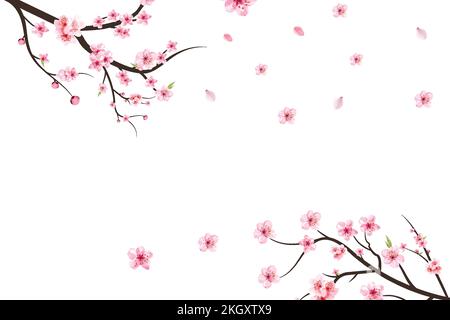 Kirschblütenzweig mit Sakura-Blume. Sakura auf weißem Hintergrund. Aquarell-Kirschblütenvektor. Rosafarbene Sakurenblüten. Aquarell cher Stock Vektor