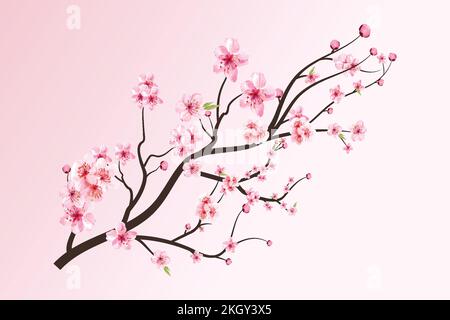 Kirschblüte mit blühender Aquarelle Sakura. Realistischer Aquarell-Sakurenblumenzweig. Japanischer Kirschblütenvektor. Kirschblütenzweig mit Stock Vektor