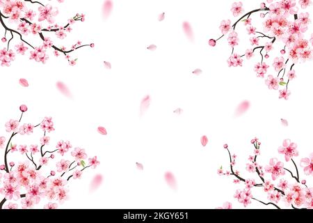 Kirschblüte mit rosa Sakura-Blütenvektor. Rosa Sakurablatt fällt. Sakura-Zweig mit blühender Aquarelle. Kirschblütenblätter fallen. Stock Vektor