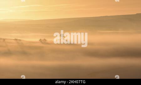 Ein Winteraufgang im schneebedeckten Pennine Moorland, bei dem die aufgehende Sonne einen Nebel erzeugt und mit einem goldenen Licht, das den Baum hervorhebt, hindurchleuchtet Stockfoto