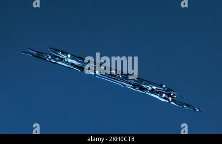 Echte Nadel Schneeflocke bei hoher Vergrößerung. Makro-Foto von kleinen umrandet Schneekristall, Schneeflocke leuchtet auf dunkelblauem Hintergrund Stockfoto