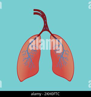 Lungen, die Sauerstoff und Kohlendioxid Pumpen. Menschliches Anatomiekonzept mit ein- und ausatmenden Lungenvektoren. Lungen mit so vielen Blut- und Luftgefäßen und BL Stock Vektor