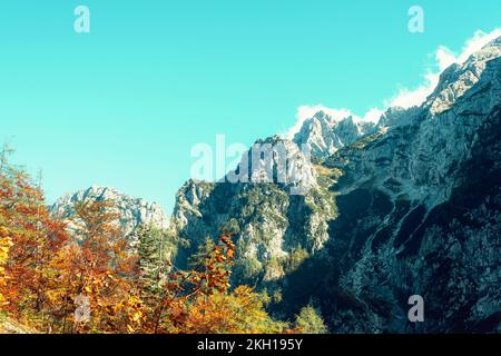 Blick auf die Berggipfel im Logar-Tal oder auf die Logarska dolina, slowenische Alpen. Stockfoto