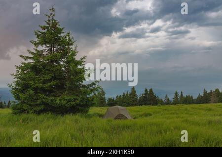 Grünes, leichtes, freistehendes Zelt für 2 Personen auf dem Mravenecnik-Hügel im Gras am Morgen nach dem Regensturm. Jesenik-Gebirge, tschechisch Stockfoto