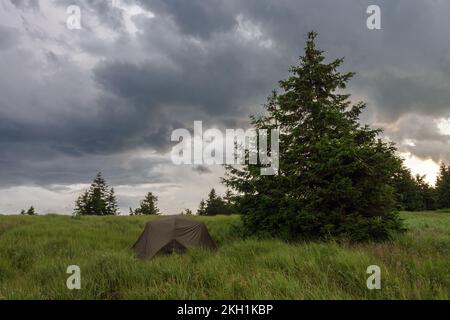 Grünes, leichtes, freistehendes Zelt für 2 Personen auf dem Mravenecnik-Hügel im Gras am Morgen nach dem Regensturm. Jesenik-Gebirge, tschechisch Stockfoto