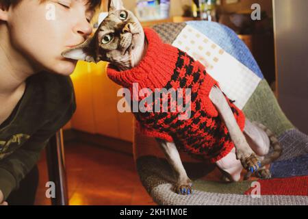 Eine Frau, die die geliebte kanadische Sphynx-Zuchtkatze küsst. Geliebte und kahlköpfige Katze in warmem rotem Pullover drinnen. Mensch und Haustier - Loyalität, Zuneigung, echte Emotionen Stockfoto