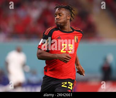 Al-Rayyan, Katar. 23.. November 2022. Michy Batshuayi aus Belgien während des Spiels der FIFA-Weltmeisterschaft 2022 im Ahmad bin Ali Stadium, Al Rayyan. Der Bildausdruck sollte lauten: David Klein/Sportimage Credit: Sportimage/Alamy Live News Stockfoto