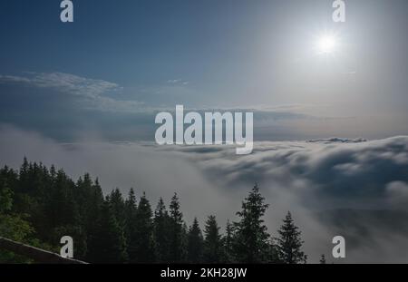 Blick vom Serak in den Jeseniky Bergen an einem nebligen Sommermorgen und Wolkenmeer rund um den Berggipfel Stockfoto