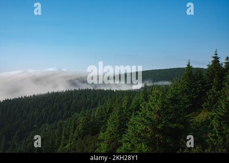 Blick vom Serak in den Jeseniky Bergen an einem nebligen Sommermorgen und Wolkenmeer rund um den Berggipfel Stockfoto