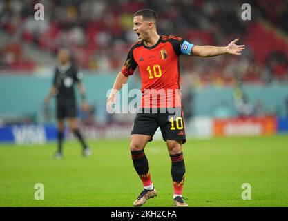 Al-Rayyan, Katar. 23.. November 2022. Eden Hazard von Belgien reagiert auf das Spiel der Gruppe F zwischen Belgien und Kanada bei der FIFA-Weltmeisterschaft 2022 im Ahmad bin Ali Stadium in Al Rayyan, Katar, 23. November 2022. Kredit: Meng Dingbo/Xinhua/Alamy Live News Stockfoto