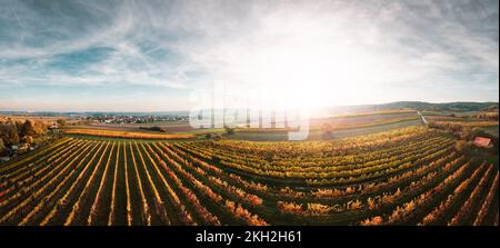 Bunte Weinberge Felder von oben bei Sonnenuntergang im Herbst. Blick auf Enzersfeld im österreichischen Weinviertel. Stockfoto