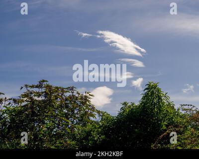 Einige kleine weiße Wolken schweben früh am Morgen über einem Wald in der Nähe der Kolonialstadt Villa de Leyva im Zentrum Kolumbiens. Stockfoto