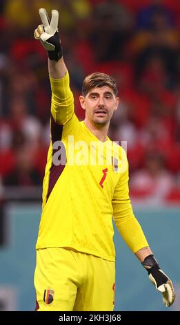 Al-Rayyan, Katar. 23.. November 2022. Thibaut Courtois von Belgien während des Spiels der FIFA-Weltmeisterschaft 2022 im Ahmad bin Ali Stadium, Al Rayyan. Der Bildausdruck sollte lauten: David Klein/Sportimage Credit: Sportimage/Alamy Live News Stockfoto