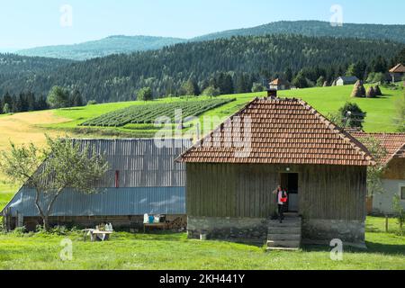 Farm in den Bergen Serbiens, Kamena Gora Old Village Stockfoto