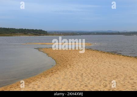 Naturschutzgebiet der Lagunen Santo Andre und Sancha in der Region Alentejo in Portugal Stockfoto