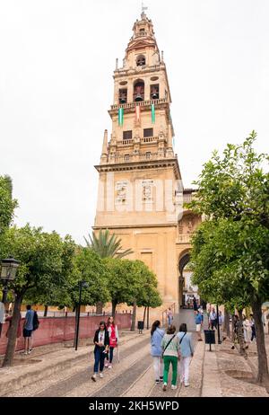 Glockenturm der Moschee-Kathedrale von Cordoba, Andalusien, Spanien Stockfoto