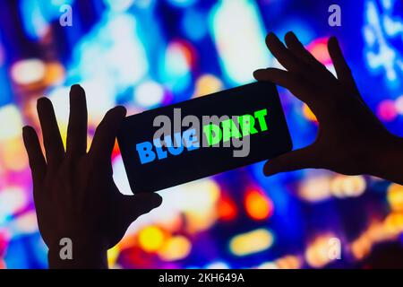 Brasilien. 23.. November 2022. In dieser Abbildung wird das Blue Dart Express Logo auf dem Smartphone-Bildschirm angezeigt. (Kreditbild: © Rafael Henrique/SOPA Bilder über ZUMA Press Wire) Stockfoto