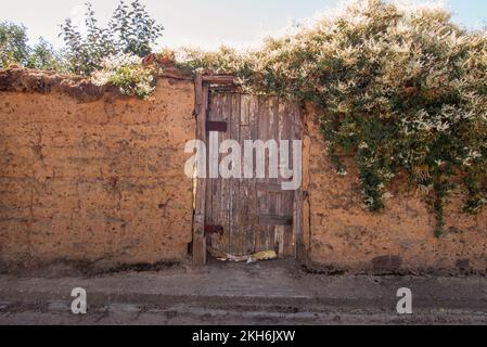 Überwucherte Gartenwand eines Hauses im typischen lehmziegelstil mit Ziegeln aus Ton, was typisch für ältere Häuser auf der spanischen Meseta Ebene ist. Stockfoto