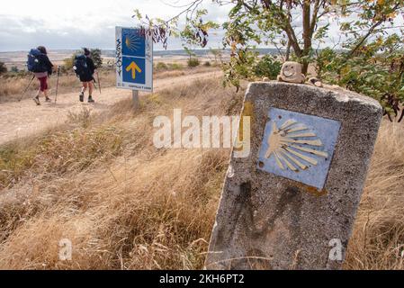 Hier entlang nach Santiago. Eine Markierung für Pilger auf dem Camino in der Nähe des Dorfes Agés. Stockfoto