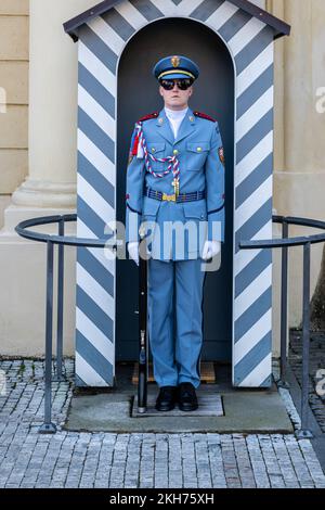 Prag, Tschechische Republik - 4. September 2022: Mann der Prager Burgwache steht vor dem Stand Stockfoto