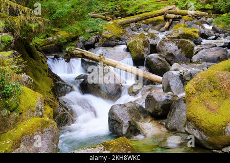 Bergbach, der zwischen Felsbrocken und umgestürzten Bäumen mit moosbedeckten Felsbrocken und Felsbrocken des Flusses fällt Stockfoto