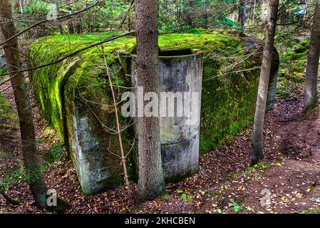 Projekt 668 Unterschlupf ist die grundlegende Art des passiven Unterschlupfes der deutschen Feldbefestigungen, die 1944 in Polen gebaut wurden. Stockfoto