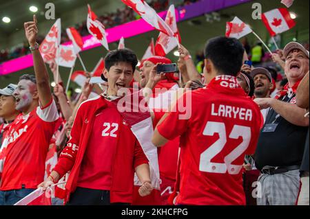 Ar Rayyan, Katar. 23.. November 2022. Die kanadischen Fans beim FIFA-Weltmeisterschaftsspiel Qatar 2022 Group F zwischen Belgien und Kanada am 23. November 2022 im Ahmad bin Ali Stadium in Ar-Rayyan, Katar (Foto: Andrew Surma/Credit: SIPA USA/Alamy Live News) Stockfoto