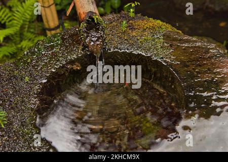 Traditioneller Brunnen in einem kleinen Schrein in Tokio, Japan Stockfoto