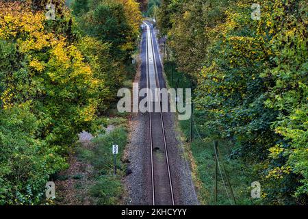 Eingleisige Eisenbahnstrecke, symbolisches Bild des öffentlichen Verkehrs in ländlichen Gebieten, Blick von oben, Höxter, Weserbergland, Nordrhein-Westfalen, Deutschland, Stockfoto