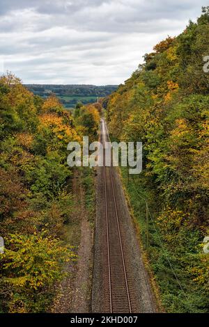 Eingleisige Eisenbahnstrecke, symbolisches Bild des öffentlichen Verkehrs in ländlichen Gebieten, Blick von oben, Höxter, Weserbergland, Nordrhein-Westfalen, Deutschland, Stockfoto