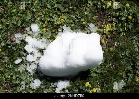 Wenig Schnee im grünen Rasen Hintergrund setzen Stockfoto