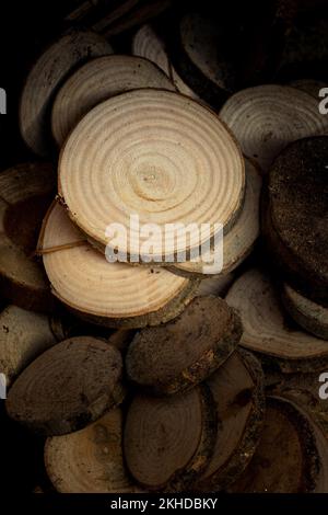 Holzscheite in schneiden Runde dünne Stücke auf weißem Hintergrund Stockfoto