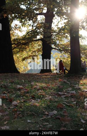 Eine vertikale Aufnahme von Bäumen im Stromovka Park mit Touristen in Prag, Tschechische Republik Stockfoto