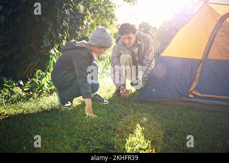 Es braucht Teamarbeit, um ihr Zelt aufzubauen. Ein Vater und sein Sohn bauen ihr Zelt auf. Stockfoto