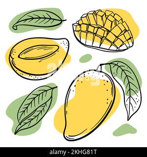 FRISCHE MANGO Abstrakte köstliche tropische Früchte mit Blättern und halbiert für Design Your Store and Restaurant Menu handgezeichnet in Sketch Vector Illus Stock Vektor