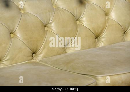 Ledermöbel. Sofapolster. Mit Möbelnägeln. Lederpolsterstruktur Stockfoto